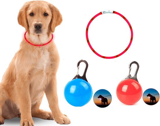 Foto: Led honden halsband rood set met 2 led veiligheidslampjes voor de hond blauw en rood handig voor aan de halsband in het donker