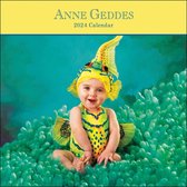 Anne Geddes Calendrier 2024