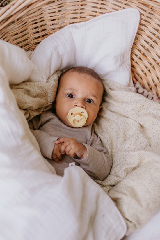 Bibs Blush/Woodchuck 6-18 Mois 2 Pièces Sucette Anatomique 2211421