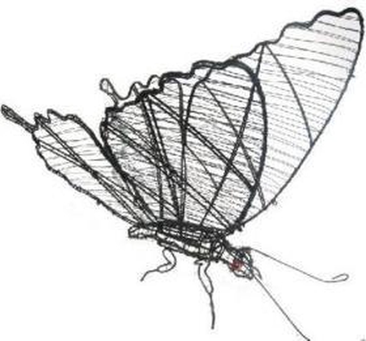 Vlinder - Frame