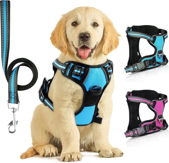 Harnais pour chiens de petite taille - Harnais réglable anti-traction pour  petits chiens - Confortable - Réfléchissant - Ensemble laisse avec 2 clips