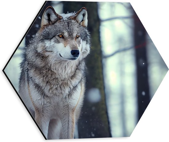 Dibond Hexagon - Wolf staat in een bos in de sneeuw - 30x26.1 cm Foto op Hexagon (Met Ophangsysteem)