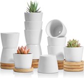 Pots succulents en céramique Pots de plantes de cactus Mini pots de fleurs avec sous-verre rond blanc (Φ6.5CM, lot de 12)