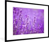 Poster - Cadre photo - Fleurs - Violet - Lavande - Nature - Cadre - Cadre pour poster - 80x60 cm - Cadre pour poster - Décoration de chambre - Poster nature - Poster fleurs - Photo avec cadre