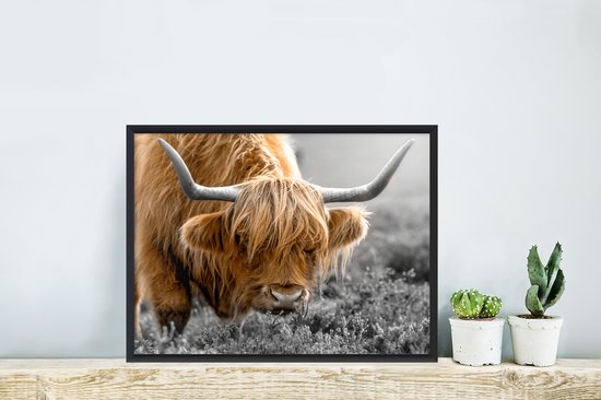Cadre photo avec affiche - Couleur - Zwart - Wit - Scottish Highlander - 40x30 cm - Cadre pour affiche