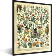 Fotolijst incl. Poster - Bloemen - Planten - Vintage - Adolphe Millot - Kunst - 30x40 cm - Posterlijst