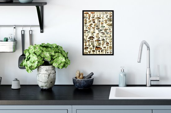 Affiche avec cadre Champignon - Automne - Nature - 20x30 cm