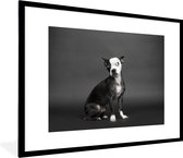 Fotolijst incl. Poster - Hond - Vlek - Portret - 80x60 cm - Posterlijst