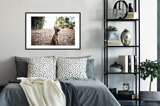 Fotolijst incl. Poster - Mechelse herder pup die omhoog kijkt - 90x60 cm - Posterlijst