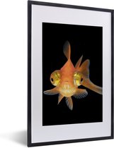 Cadre photo avec affiche - Poisson rouge - Animaux aquatiques - Yeux - 40x60 cm - Cadre pour affiche