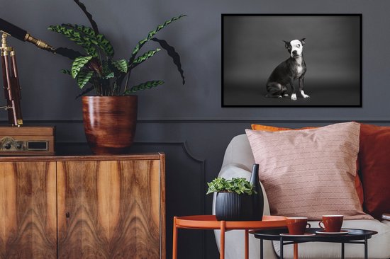 Photo dans le cadre - chien de couleur Zwart sur noir cadre photo fond noir sans monture 60x40 cm - affiche dans le cadre Décoration murale salon / chambre à coucher)