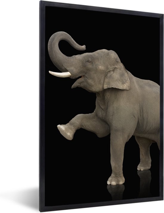 Fotolijst incl. Poster - Olifant - Dieren - Zwart - Portret - 20x30 cm - Posterlijst