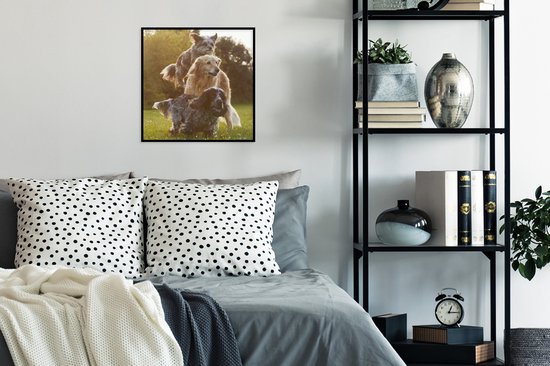 Fotolijst incl. Poster - Honden - Park - Zon - 40x40 cm - Posterlijst