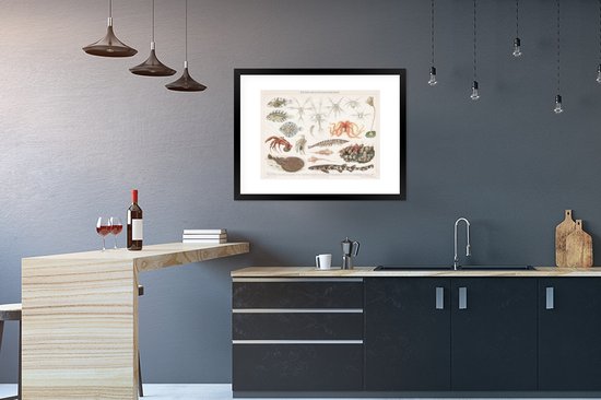 Affiche avec cadre Animaux aquatiques marins - Vintage - dessin - 80x60 cm