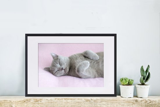 Chat gris dort sur un tapis rose 60x40 cm