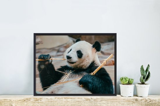 Panda mangeur de Bamboe 40x30 cm - petit