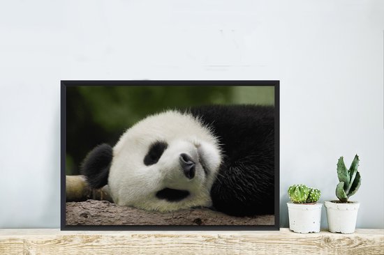 Panda endormi 60x40 cm