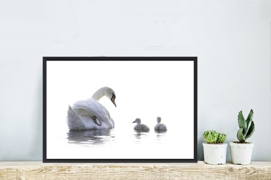 Fotolijst incl. Poster - Zwaan - Kuiken - Wit - 60x40 cm - Posterlijst