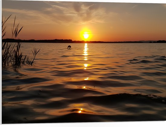 PVC Schuimplaat - Zonsondergang bij Kalm Meer - 80x60 cm Foto op PVC Schuimplaat (Met Ophangsysteem)