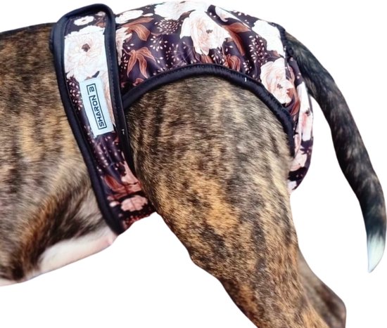 Hond draagt een loopsheidbroekje met beige bloemenprint, zwarte rand en klittenband sluiting.