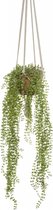 Fleurdirect Hangplant Ficus Pumila - Polyester - Groen - 0 x 100 x 0 cm (BxHxD)