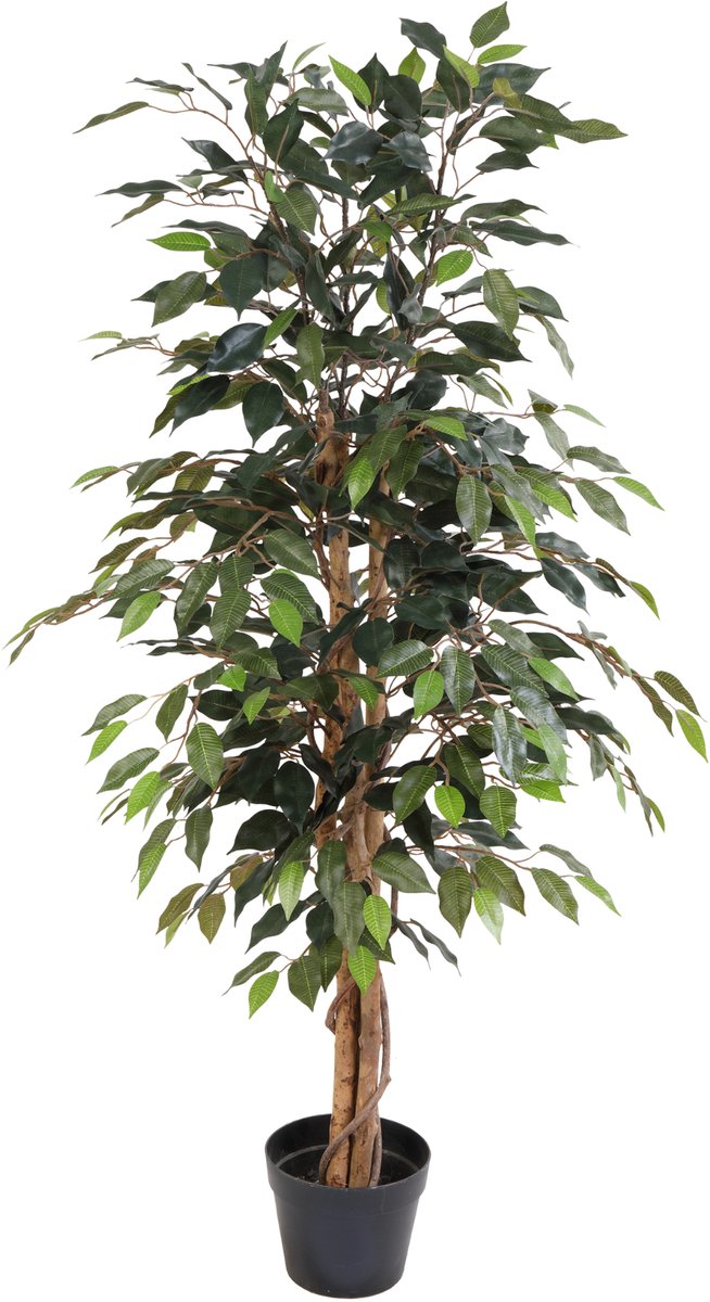 Florafy Kunstplant Ficus Benjamina 130cm - Kunstplanten voor binnen - Onderhoudsvrij