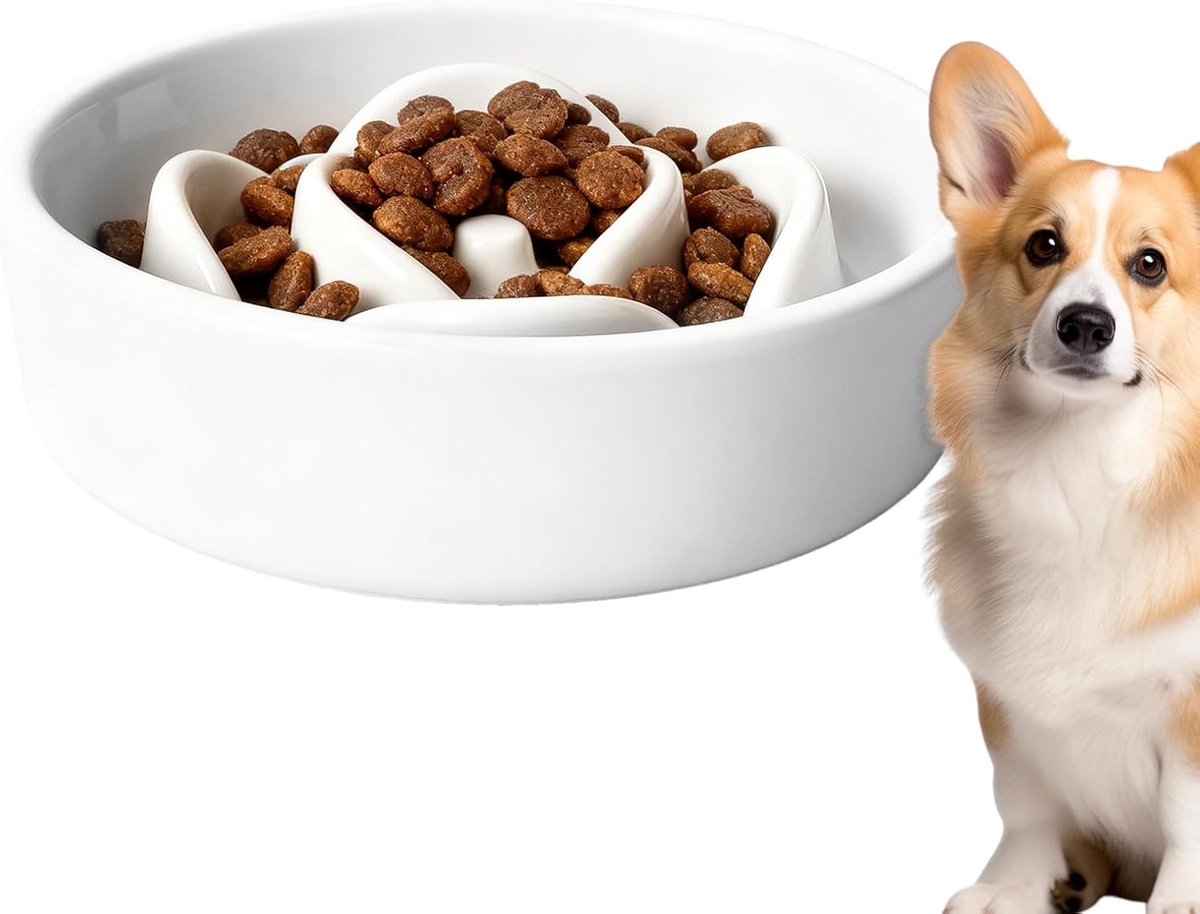 Voerbak Hond - Langzaam Eten - Gezond Voeden - Antislip Bodem - 15.5 x 15.5 cm - Meerkleurig