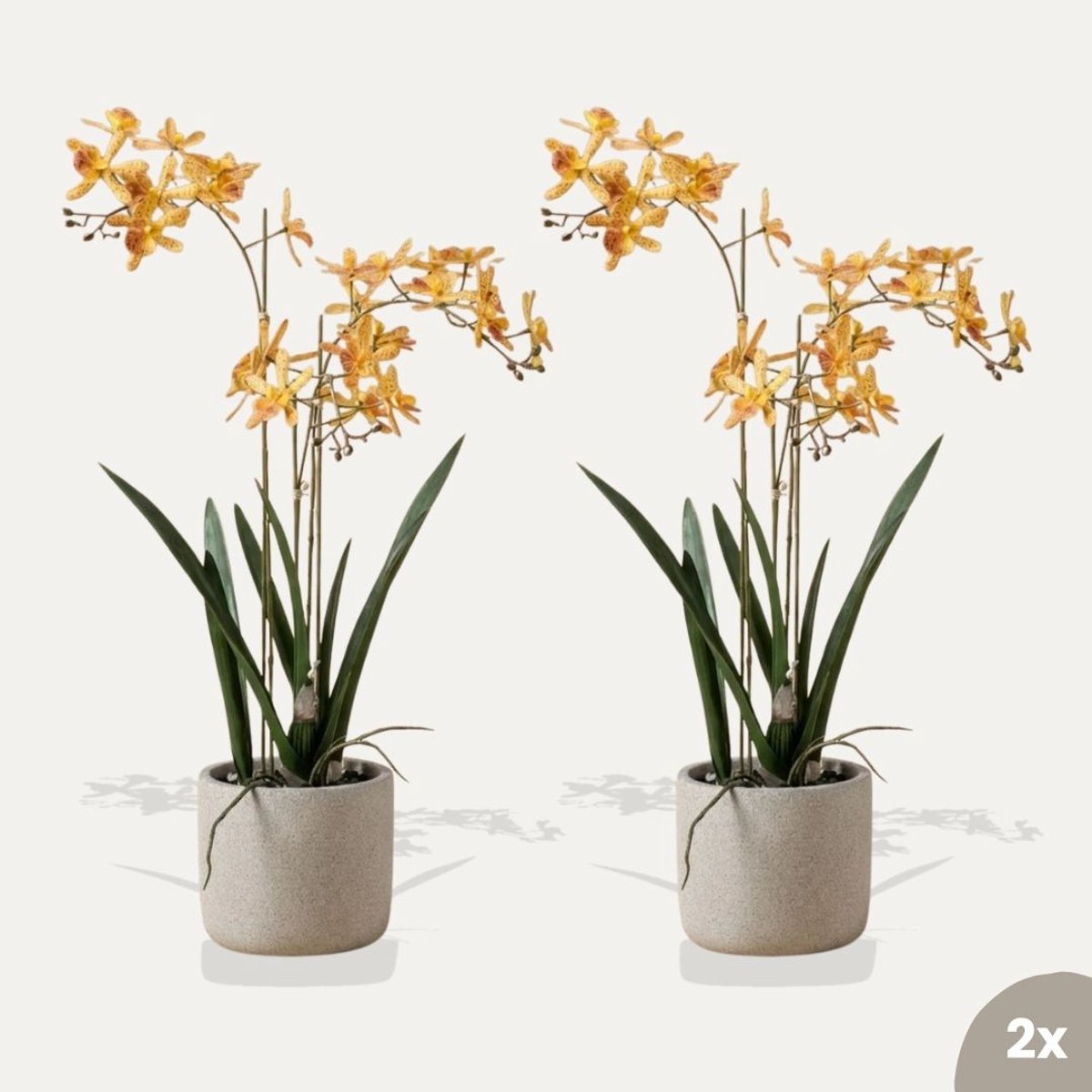 Renanthera orchidee geel/oranje 2 stuks - Kunstplanten - Bundelset