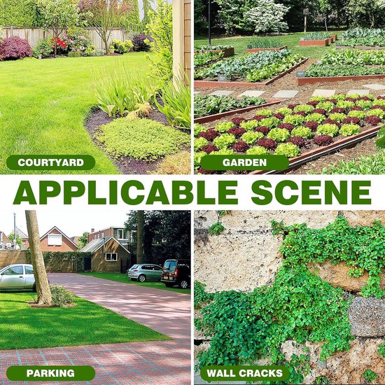 Onkruidverwijderaar Tuin - Handwieder Wortel - Onkruid Wieden - Antislip Houten Handvat - 31.5 cm Lengte - Zilver — afbeelding 4
