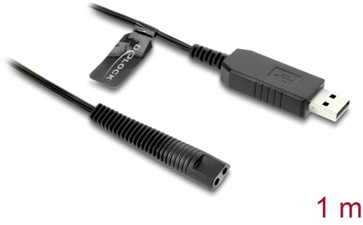 DeLOCK 90980 electriciteitssnoer Zwart 1 m USB A 2-pin