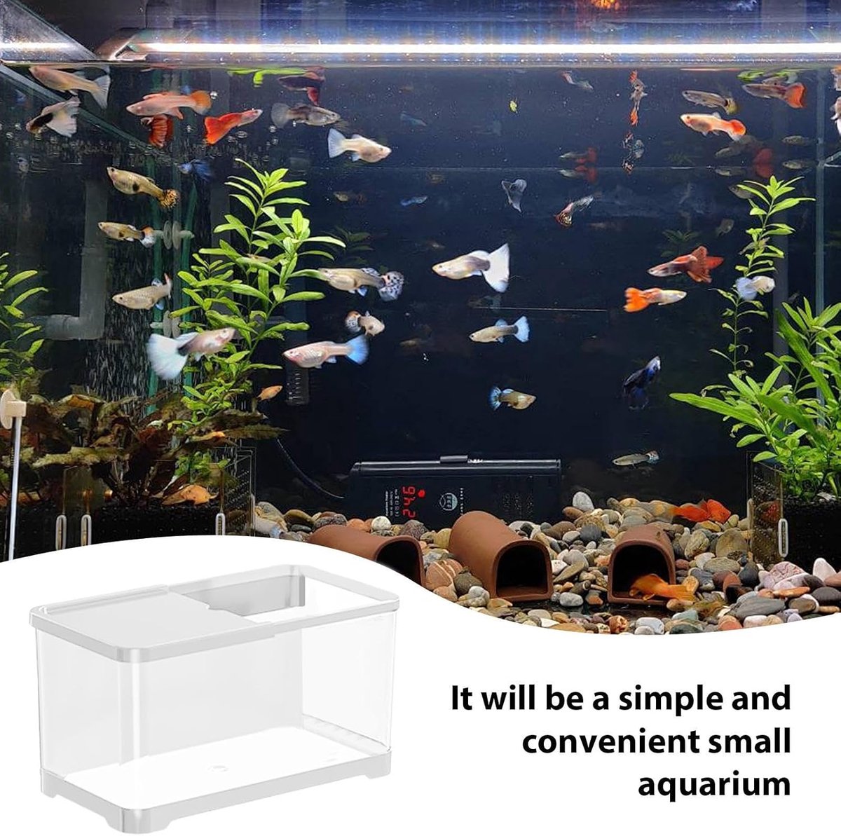 Aquarium Starter Set - Complete Vis Set - Beginners Vis Houden - Hydroponische Mand - 30.6 x 19.6 cm - Wit thumbnail 5