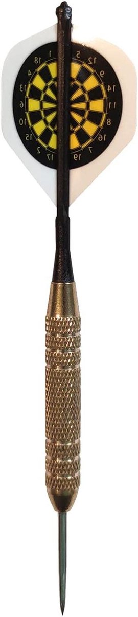 Dartpijlen Staal - Pijltjes Set - Darten Oefenen - Metalen Punt - 21 gram - Zilver