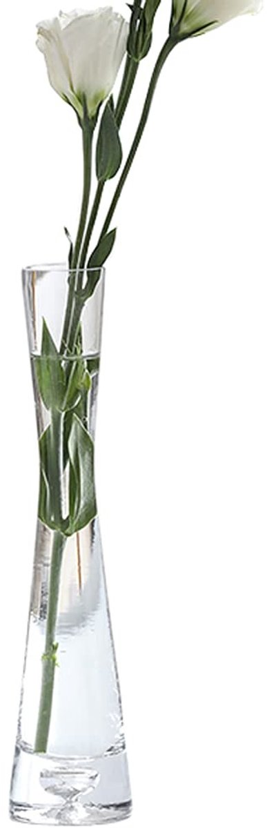 Dailygoods - Dailygoody - Geblazen Art Bud Glazen Vaas - Handgemaakt - Duidelijke Bloem Vaas - Helder - Decoratieve Vaas - Geschikt voor Thuis en Kantoor
