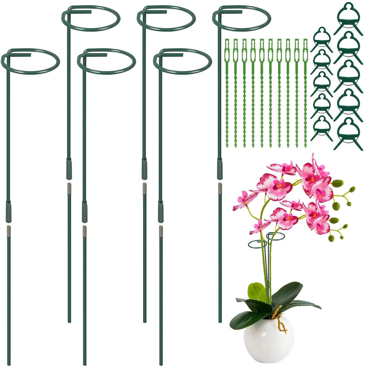 Dailygoods - Plantenfixeerstangen en Clips - Set van 6 Stangen + 20 Tuinclips
