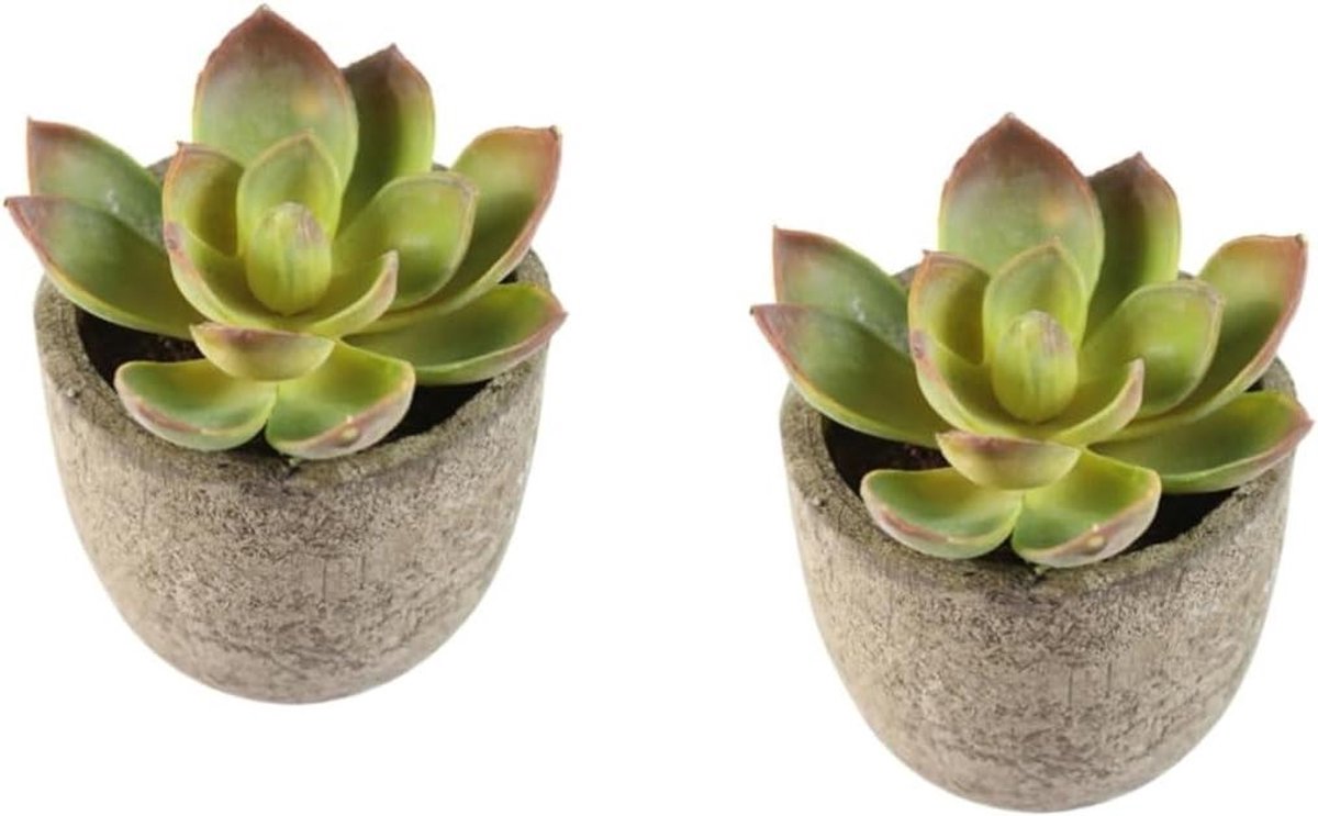 Nep Succulenten - Kunstplantjes Mini - Decoratie Binnen - Realistisch Uiterlijk - 7 cm Hoo