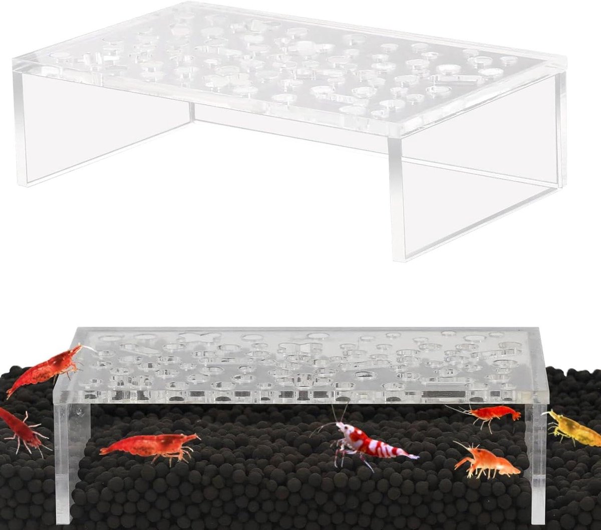 Kwekerij Schuilplaats - Aquarium Tunnel - Kwallen Kweken - Sterk Acryl Materiaal - 10 cm Diep - Transparant
