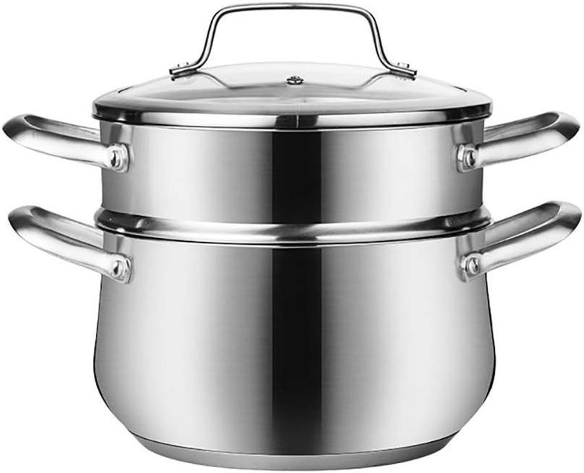 Roestvrijstalen Stoompan - Soeppan Kookpan - Gezond Koken - Composiet Bodem - 20 24 Cm - Zilver