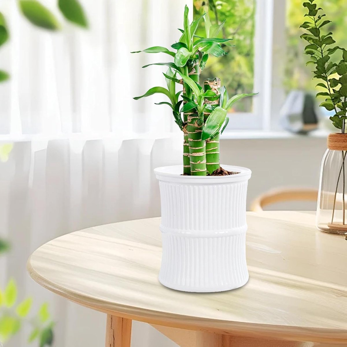 Zelfwater gevende bloempotten,Zelfwater gevende plantenpotten,Kleine Potplanten Containers Waterreservoir Potten - Anti-lek irrigatiepotten voor entree, balkon, slaapkamer, woonkamer, studeerkamer — cadeau in Cadeau-ideeën - foto 5