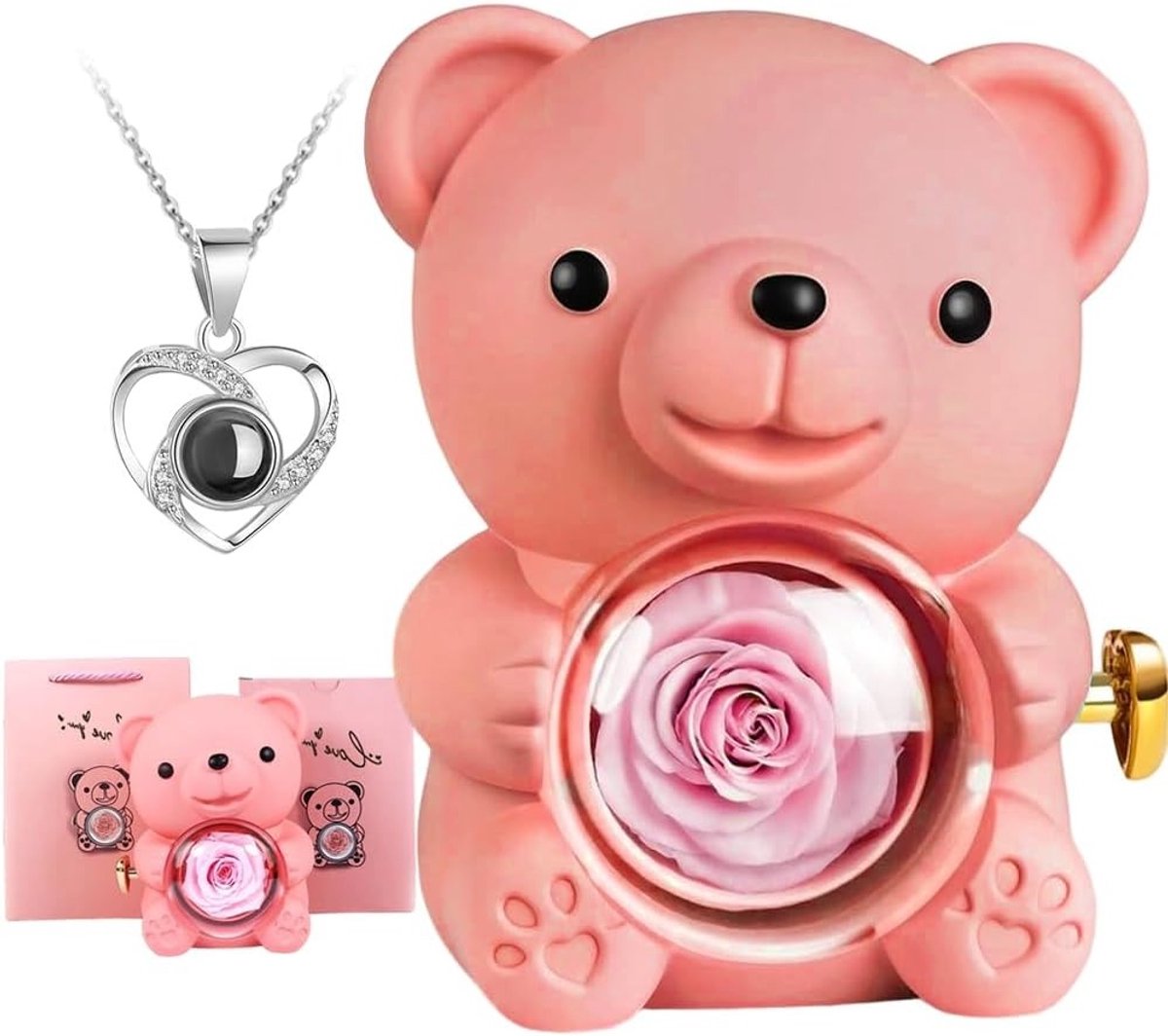Eternal Rose en Love Necklace Set, Bewaarde Rozenbloemen, Cadeau voor Verjaardag, Valentijnsdag en Romantische Gelegenheden