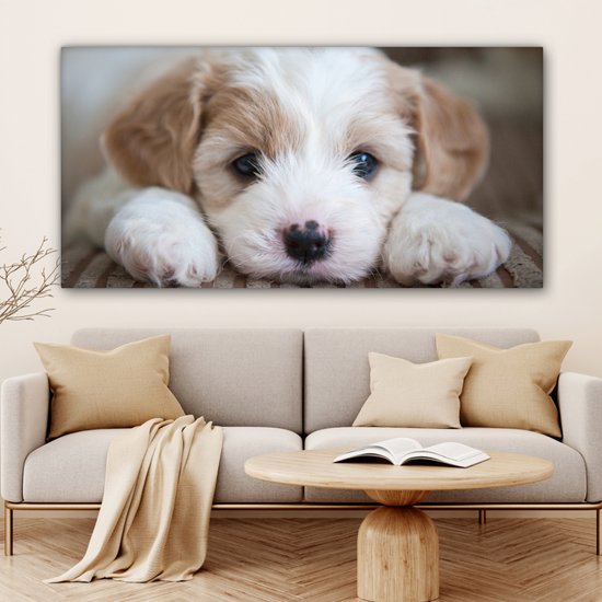 Tableau sur toile Gros plan d'un chiot Cavachon - 160x80 cm - Décoration murale