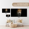 Product afbeelding  16