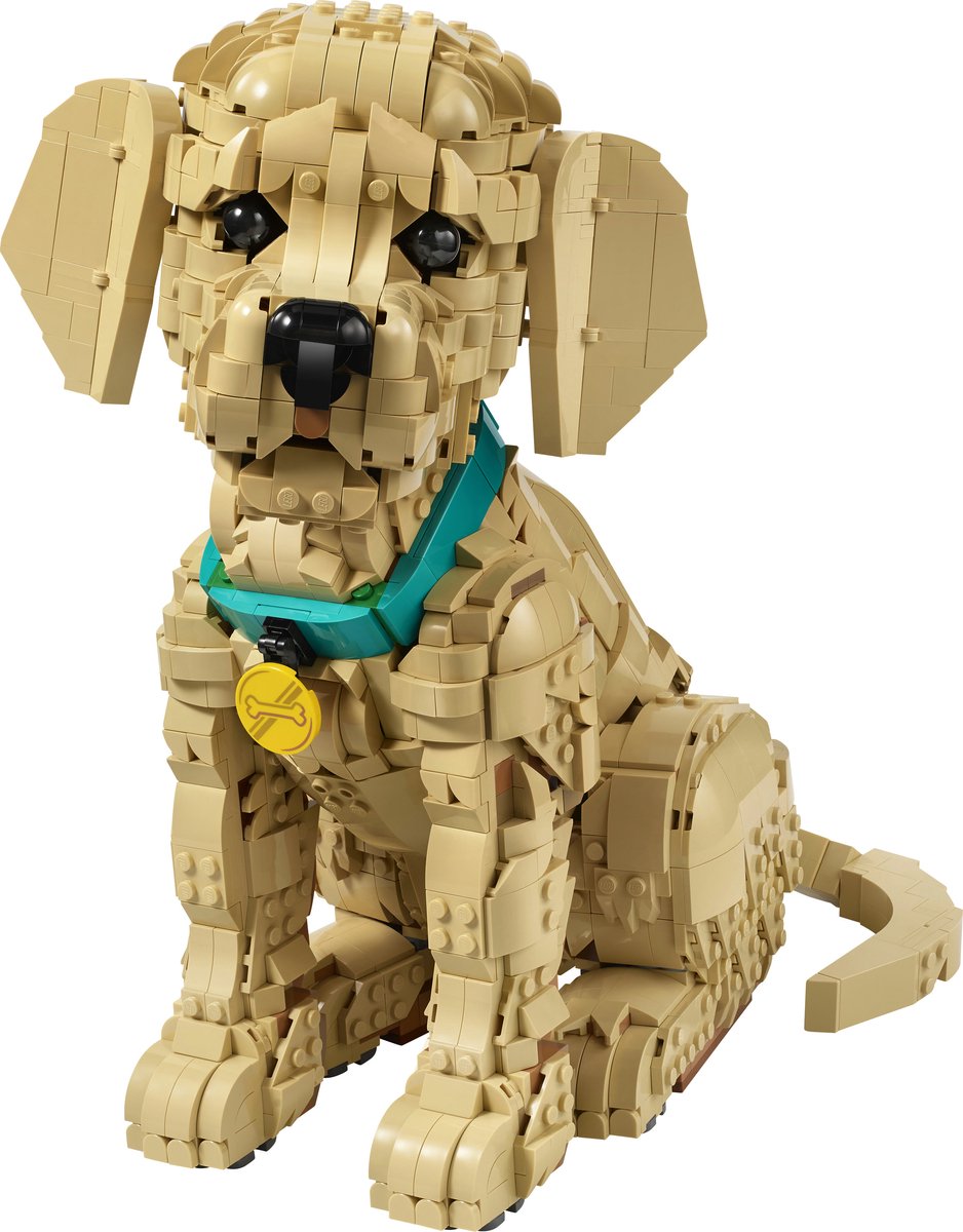 LEGO® Icons Golden Retriever Puppy - Decoratieve Dierenfiguur - Bouwset voor Volwassenen - 11384 — afbeelding 13