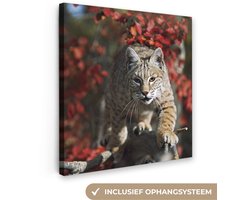 Canvas schilderij 90x90 cm - Wanddecoratie Lynx - Boomstam - Herfst - Muurdecoratie woonkamer - Slaapkamer decoratie - Kamer accessoires - Schilderijen op canvas