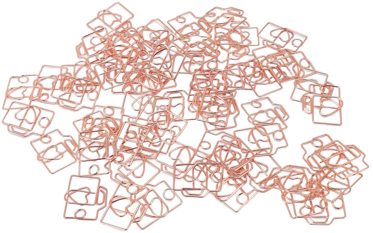 Dailygoods - 80 Stuks Cameravormige Paperclips in Opbergdoos