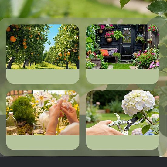 Daity 1 Stuk - Tuinschaar - Robuuste schaar, antislipschaar met duurzaam mes, geschikt voor gazon, snoeischaar, tuingereedschap voor heggen, bloemen, groenten, landschapsarchitectuur, buiten- en binnentuin. van Daity — afbeelding 4