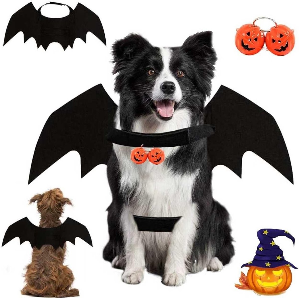 Schattige vleermuis kostuum voor honden en katten met pompoenbel, verstelbare vleugels voor Halloween feestjes