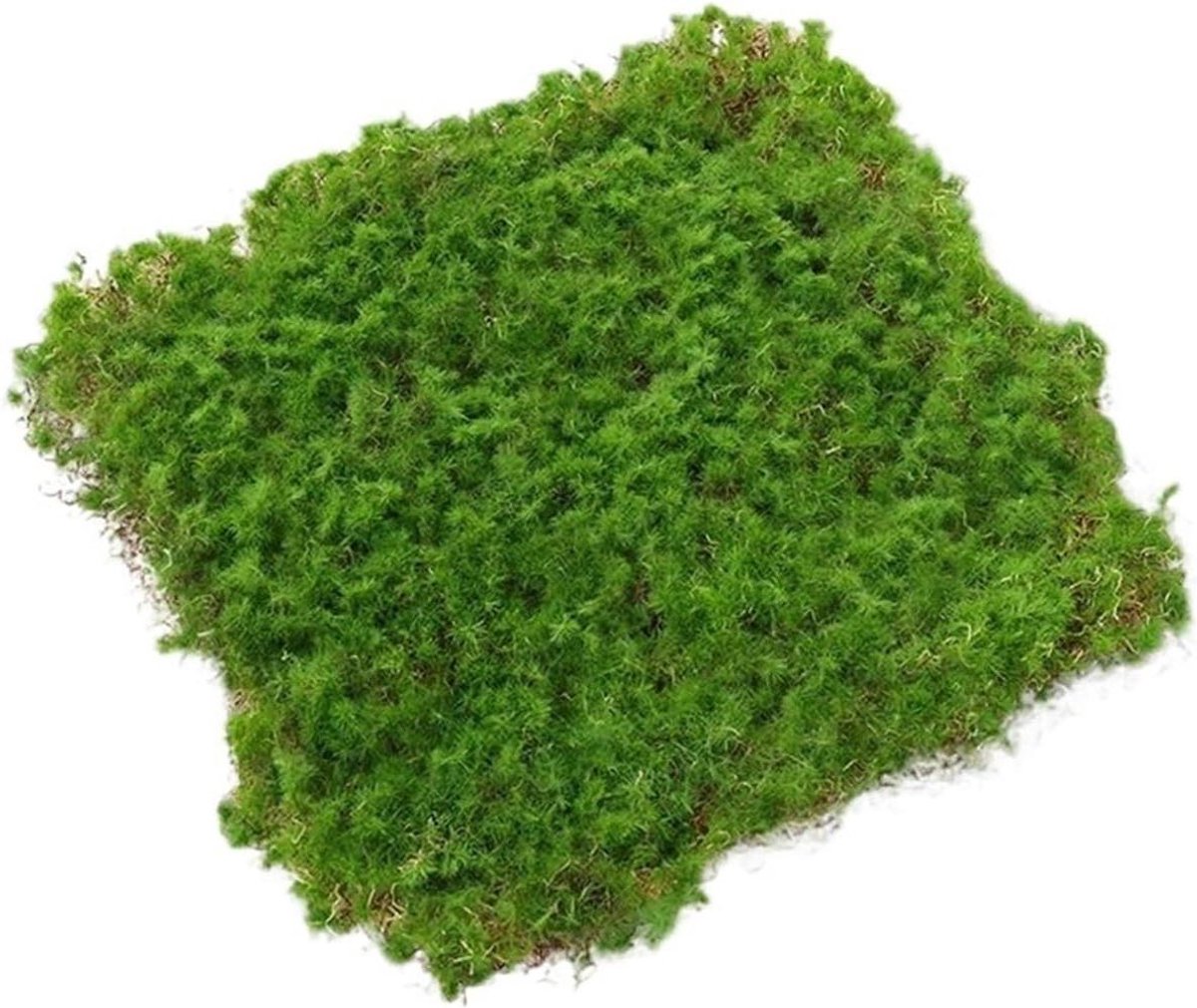 Kunstgras Mat - Gazonmat Groen - Buiten Decoratie - Realistisch Uiterlijk - 30 x 30 cm - Groen