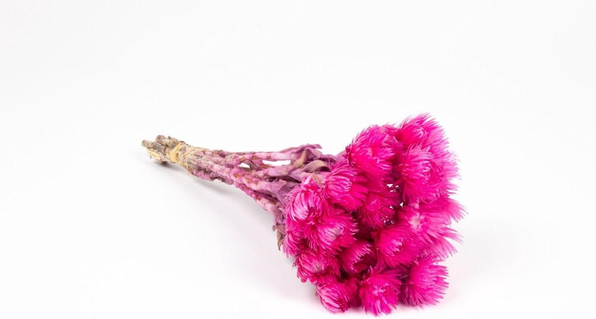 Droogboeket Bibiana - Gedroogde Bloemen - Decoratie Huis - Natuurlijke Kleuren - 40 cm - Roze