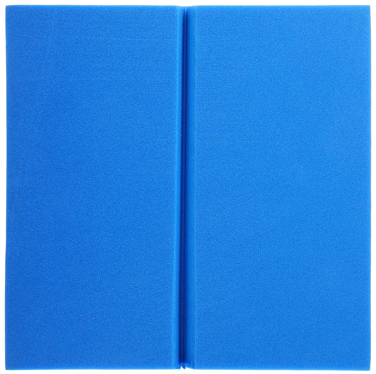 Allecta - Houdingstafel voor Insecten en Specimens - Display Board voor Insecten - Kit voor Entomologie - Blauw