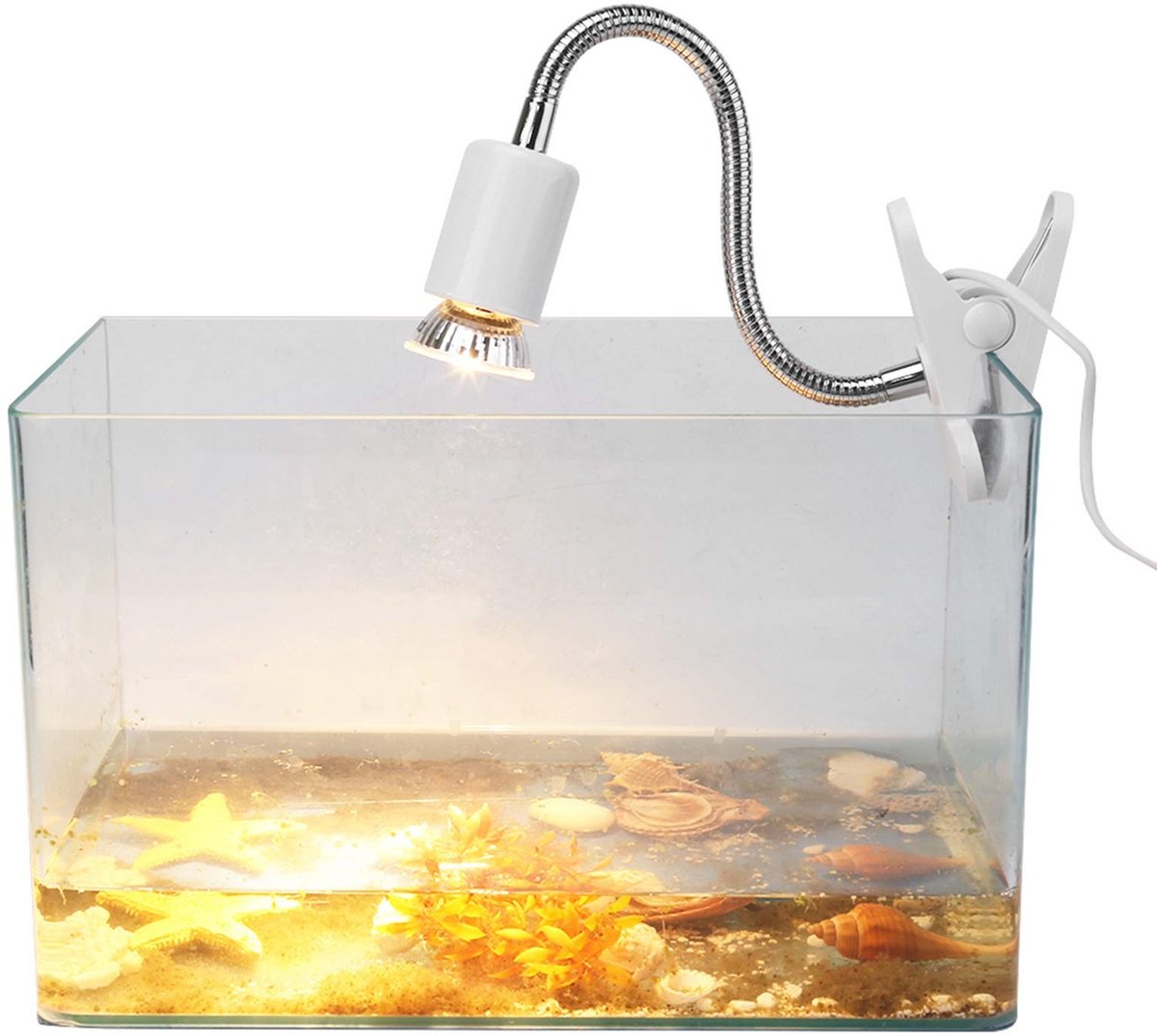 Dailygoody - Schildpadverwarmingslamp - Infrarood warmtelamp - Hoogwaardige kwaliteit - 50 Watt - Perfect voor reptiles - Ondersteunt calciumopname